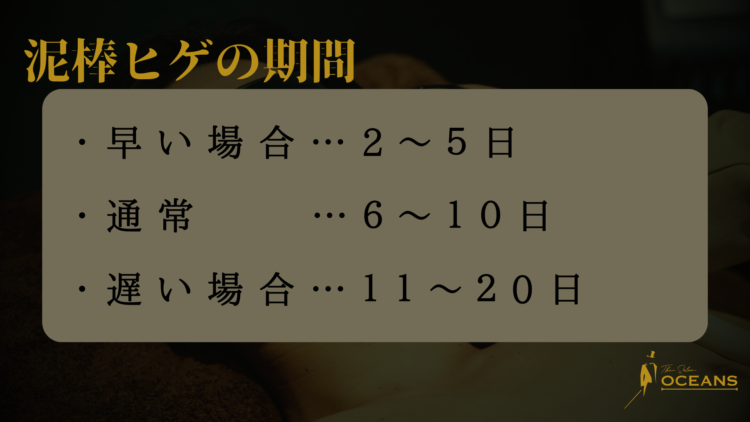 泥棒ヒゲの期間